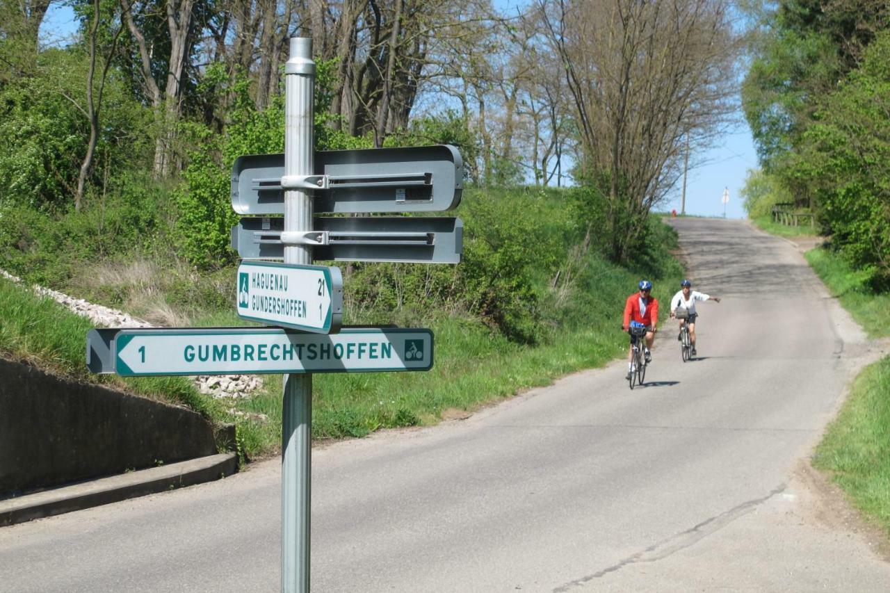 Gites Du Tilleul Gumbrechtshoffen 외부 사진